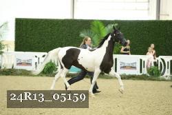 24R13_05159 thumbnail