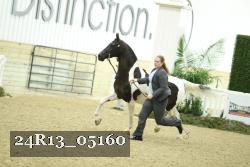 24R13_05160 thumbnail