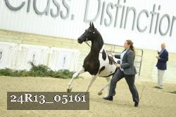 24R13_05161 thumbnail