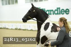 24R13_05162 thumbnail
