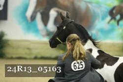 24R13_05163 thumbnail