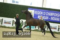24R13_05166 thumbnail