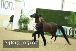 24R13_05167 thumbnail
