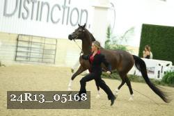 24R13_05168 thumbnail