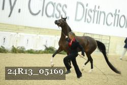 24R13_05169 thumbnail