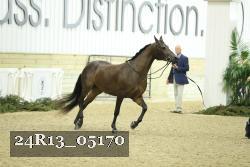 24R13_05170 thumbnail