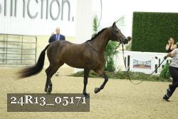 24R13_05171 thumbnail
