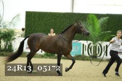 24R13_05172 thumbnail