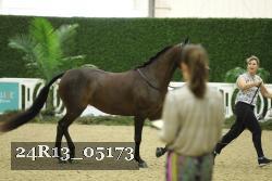 24R13_05173 thumbnail