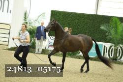 24R13_05175 thumbnail