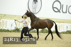 24R13_05176 thumbnail