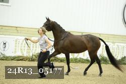 24R13_05177 thumbnail