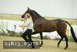 24R13_05178 thumbnail