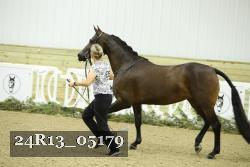 24R13_05179 thumbnail