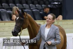 24R13_05181 thumbnail