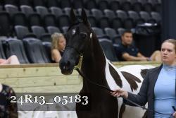 24R13_05183 thumbnail