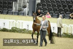 24R13_05185 thumbnail