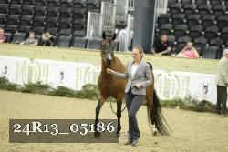 24R13_05186 thumbnail