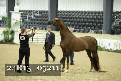 24R13_05211 thumbnail