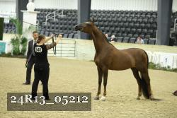 24R13_05212 thumbnail