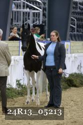24R13_05213 thumbnail