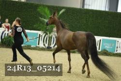 24R13_05214 thumbnail