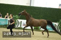 24R13_05217 thumbnail
