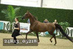 24R13_05218 thumbnail