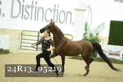 24R13_05219 thumbnail
