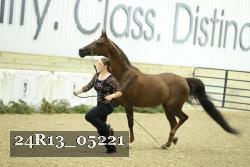 24R13_05221 thumbnail