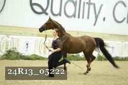 24R13_05222 thumbnail