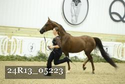 24R13_05223 thumbnail