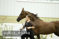 24R13_05224 thumbnail