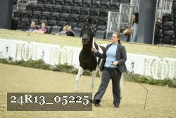 24R13_05225 thumbnail