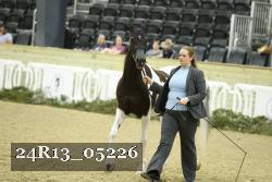 24R13_05226 thumbnail
