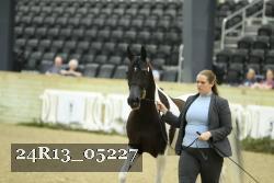 24R13_05227 thumbnail