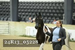 24R13_05228 thumbnail