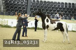 24R13_05231 thumbnail