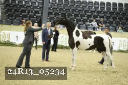 24R13_05234 thumbnail