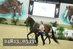 24R13_05331 thumbnail