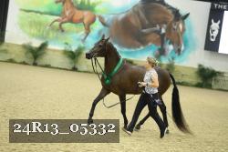 24R13_05332 thumbnail