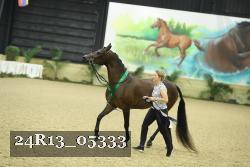 24R13_05333 thumbnail