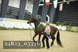 24R13_05336 thumbnail