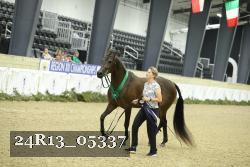 24R13_05337 thumbnail