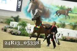 24R13_05338 thumbnail