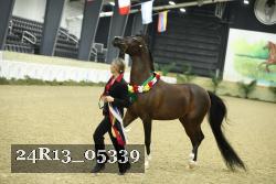 24R13_05339 thumbnail