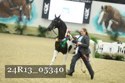 24R13_05340 thumbnail