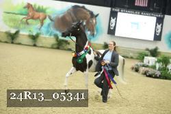 24R13_05341 thumbnail
