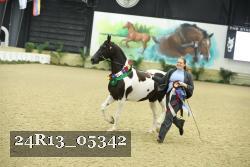 24R13_05342 thumbnail