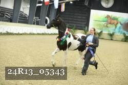 24R13_05343 thumbnail